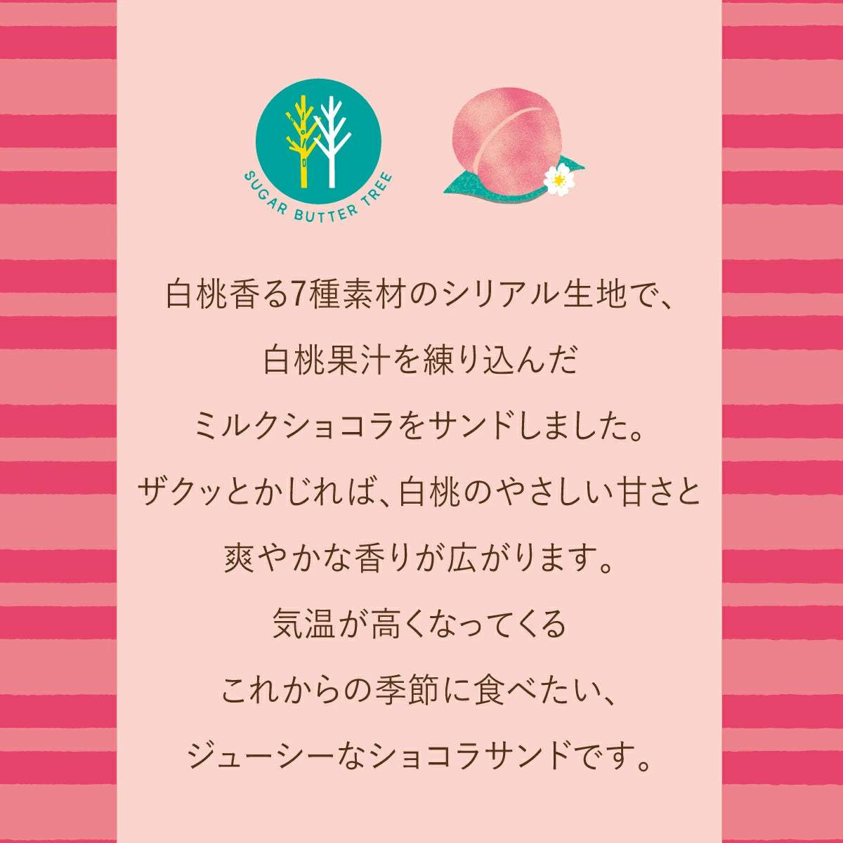 Suger Butter Tree - 白桃味朱古力夾心餅乾