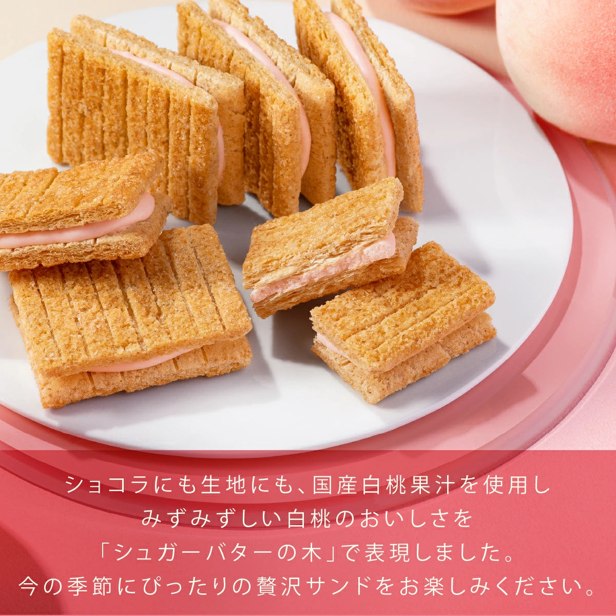 Suger Butter Tree - 白桃味朱古力夾心餅乾