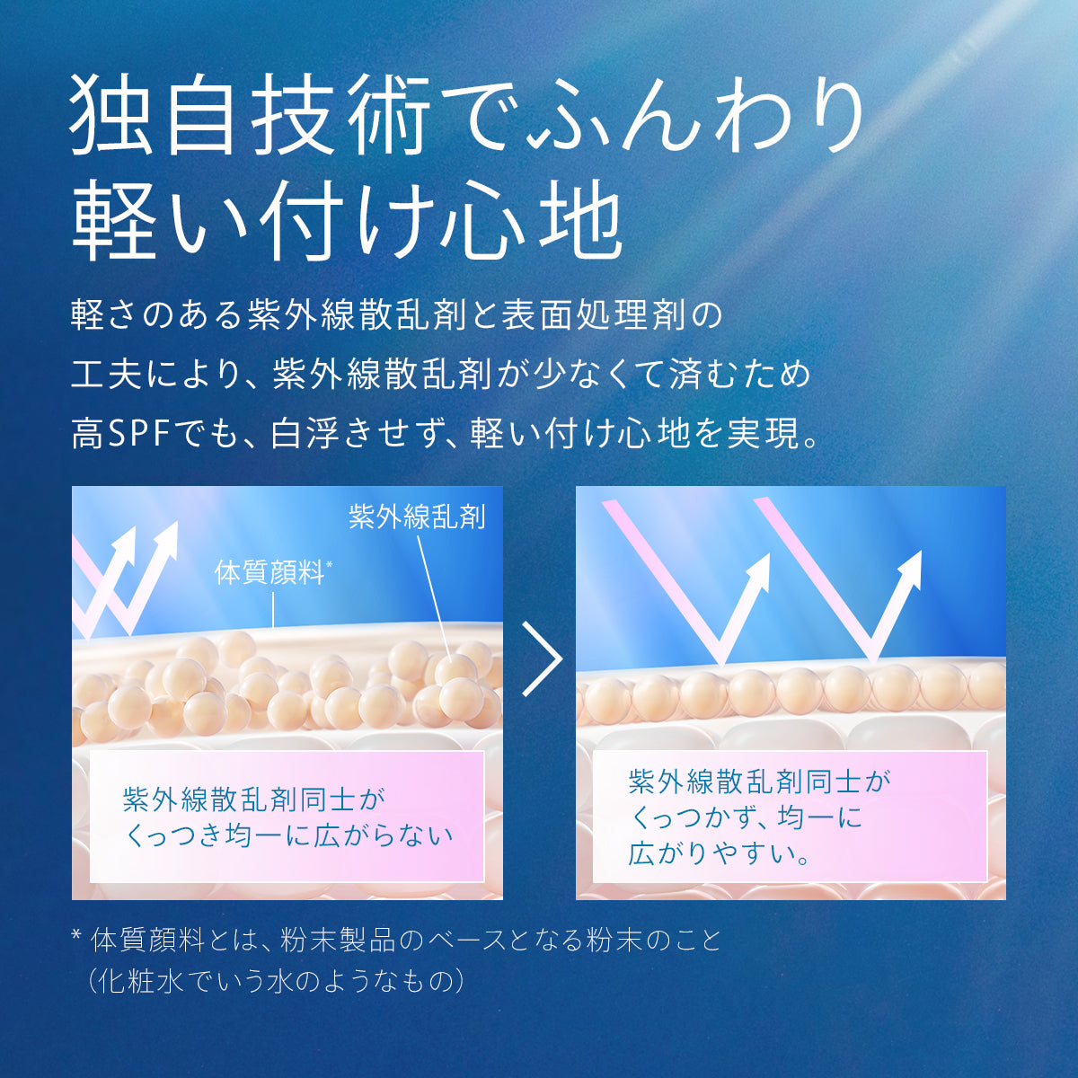 日本限定 ANESSA Perfect UV Brush-on Powder 安耐曬 筆狀防曬粉
